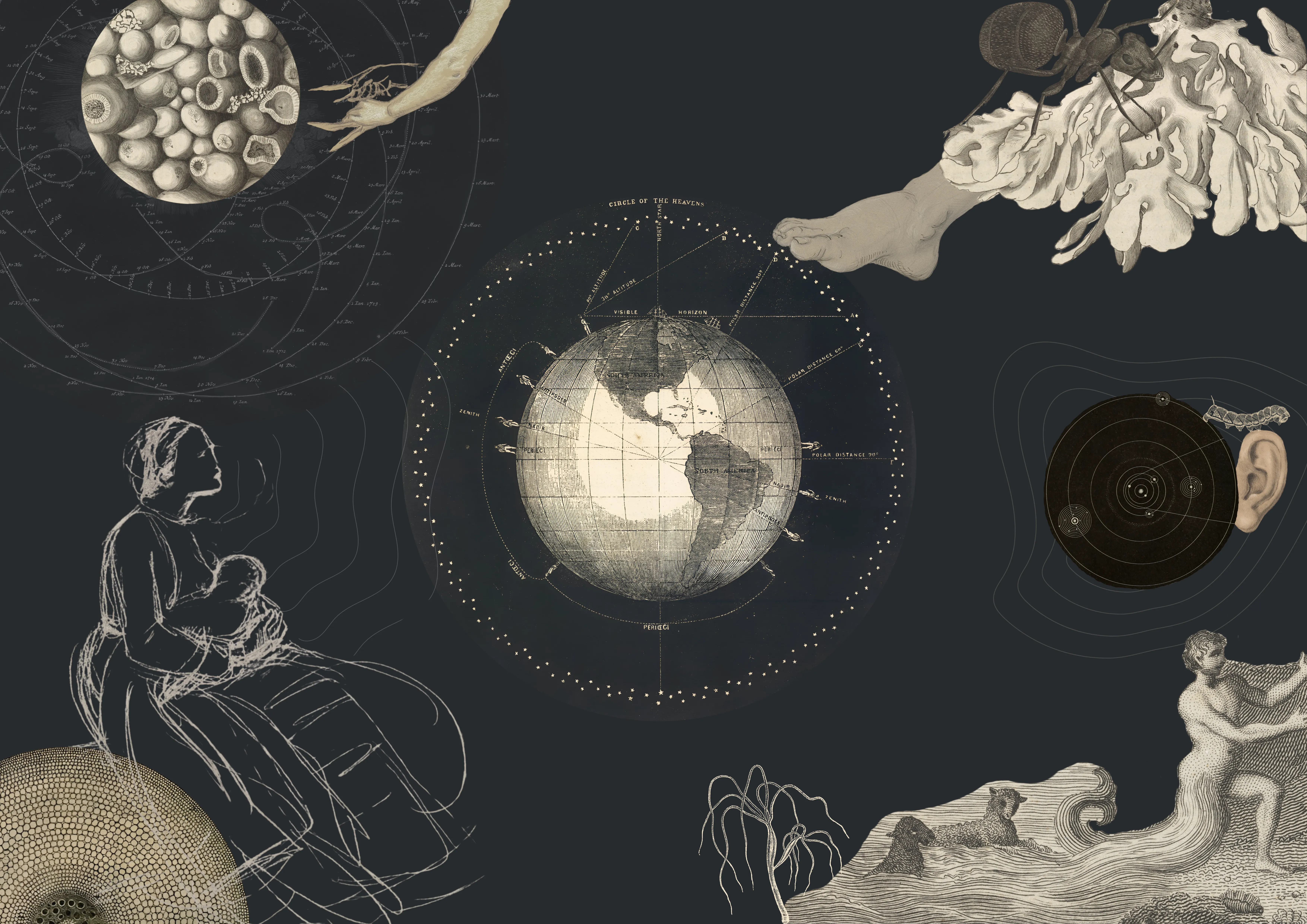 Collage voor Bij Nader Inzien artikel 'Herinnering: we zijn aardbewoners' door Ester Smits